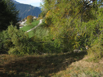 .. musste dem Durchblick weichen