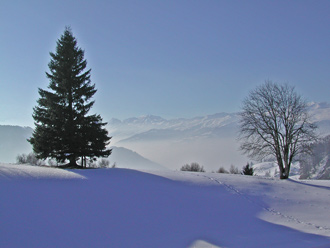 Nebel im Vorderrheintal